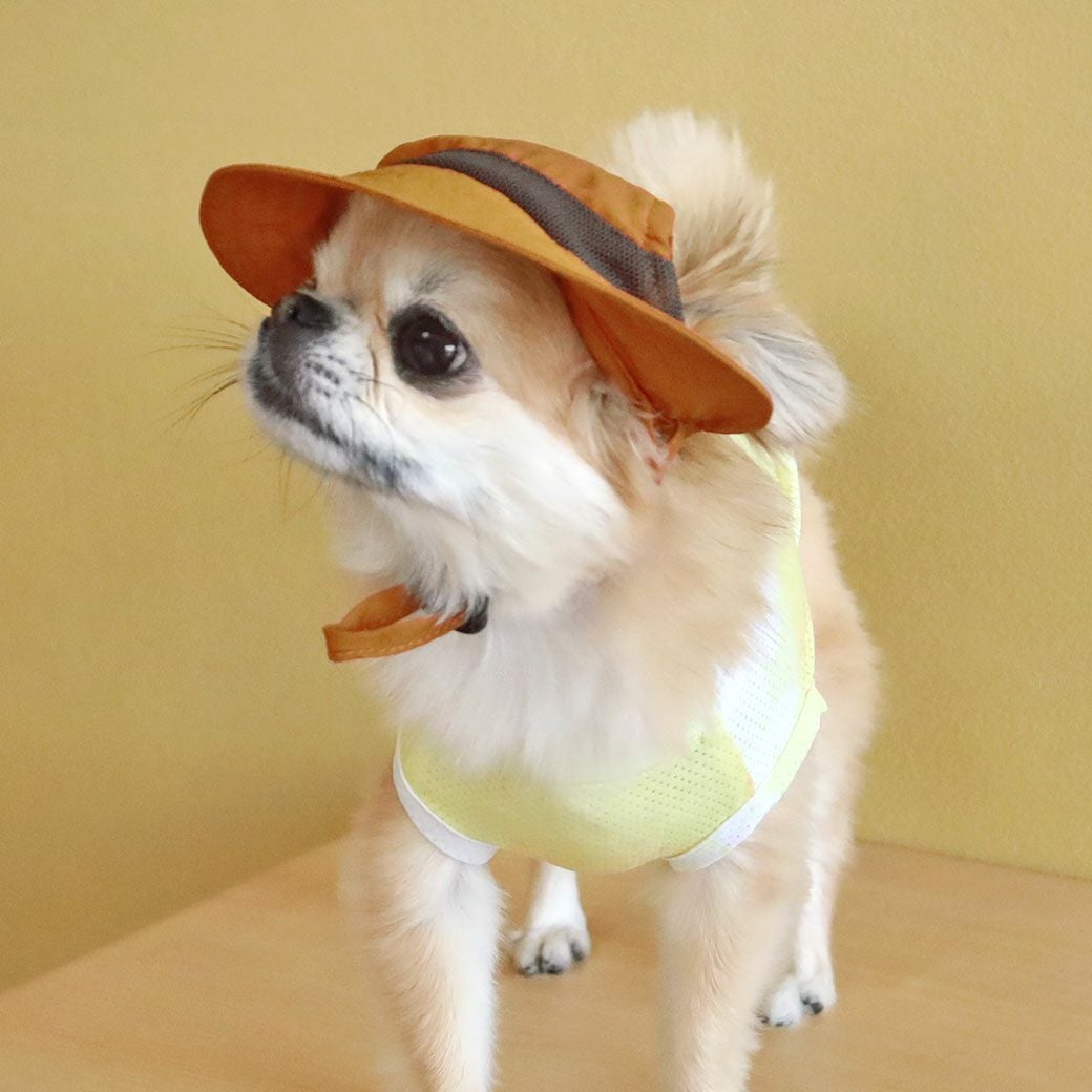 iDog AQUA HOLD ひんやりアクティブハット アイドッグ-犬猫用品通販
