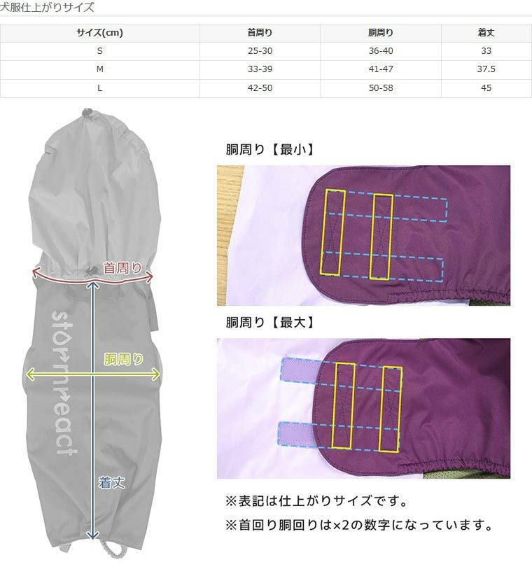 サイズ表