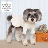 ミニチュアシュナウザー4.9kg(首23/胴40/丈30cm)のあろあちゃんはオフホワイトのMを着用
