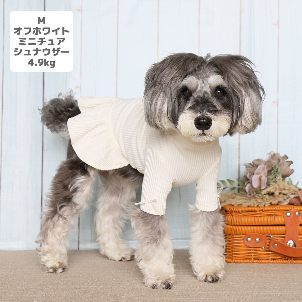 ミニチュアシュナウザー4.9kg(首23/胴40/丈30cm)のあろあちゃんはオフホワイトのMを着用
