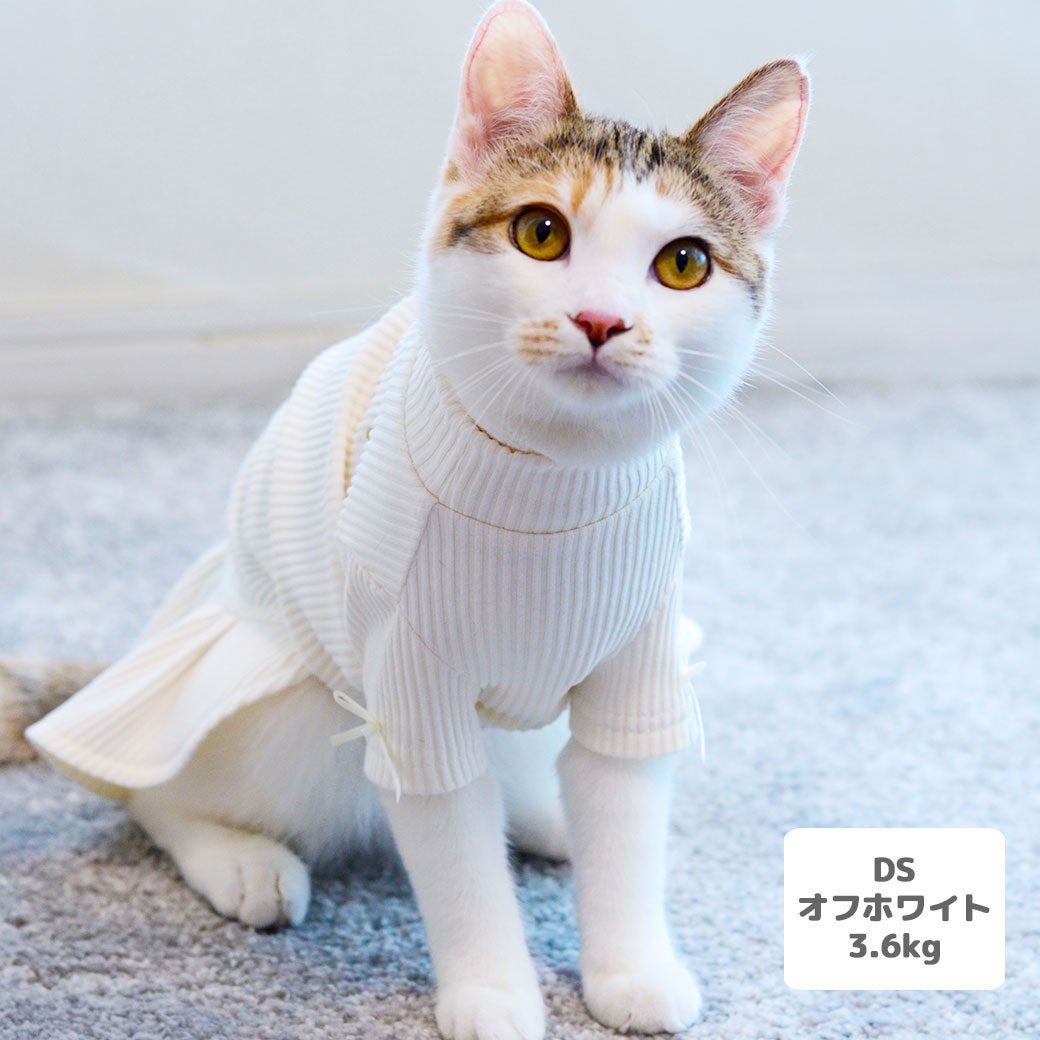 夕花ちゃん3.6kg(首18/胴34/丈38cm)はオフホワイトのDSを着用