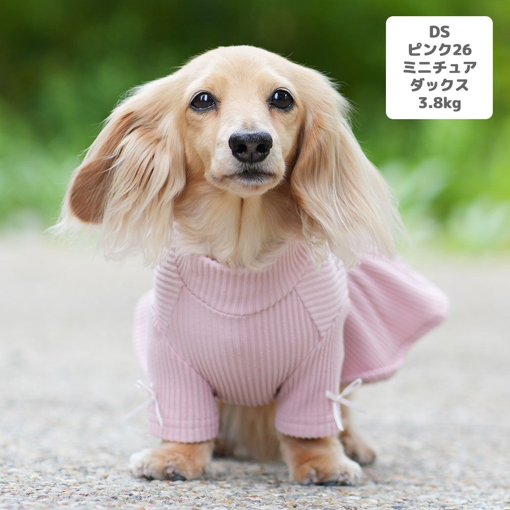 ミニチュアダックス3.8kg(首27/胴38/丈31cm)のクムちゃんはピンク26のDSを着用
