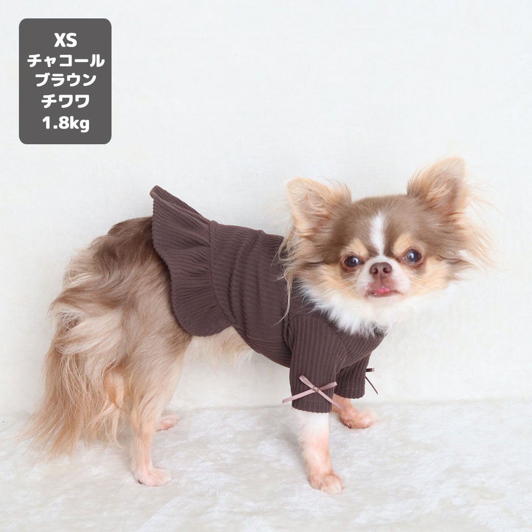 チワワ1.8kg(首18/胴29/丈21cm)の玉青ちゃんはチャコールブラウンのXSを着用