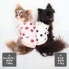 チワワ1.8kg(首18/胴29/丈21cm)の玉青ちゃん【左】はストロベリーのS、1.7kg(首19/胴29/丈19cm)の小桃ちゃん【右】はドットのSを着用