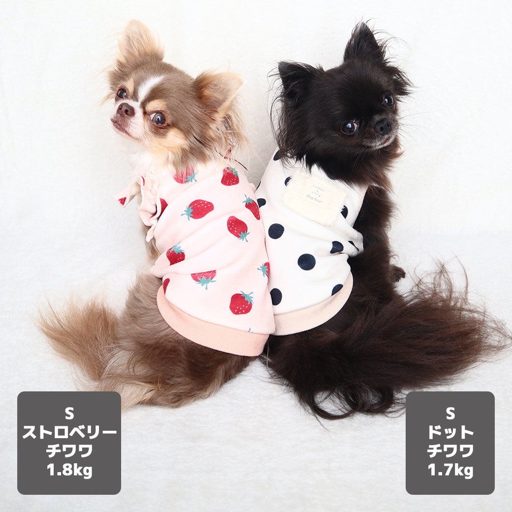 チワワ1.8kg(首18/胴29/丈21cm)の玉青ちゃん【左】はストロベリーのS、1.7kg(首19/胴29/丈19cm)の小桃ちゃん【右】はドットのSを着用