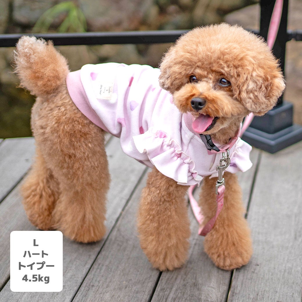 トイプードル4.5kg(首24/胴40/丈30cm)の里梨衣ちゃんはハートのLを着用