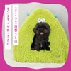 iDogにやってきたユニークなモンスターくん