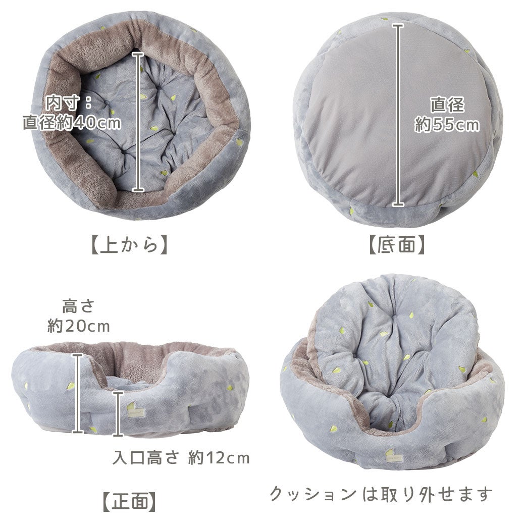 ４方向から