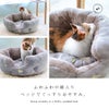 ふわふわ中綿入りベッドでぐっすり