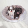 チワワ1.8kg(首18/胴29/丈17cm)の小真知ちゃんとチワワ1.7kg(首19/胴29/丈19cm)の小桃ちゃんは洋ナシを使用