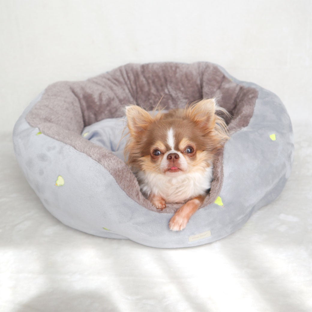 チワワ1.8kg(首18/胴29/丈21cm)の玉青ちゃんは洋ナシを使用