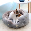 MIX3.6kg(首18/胴34/丈38cm)の夕花ちゃんは洋ナシを使用