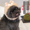 IDOG&ICAT干支のかぶりものひつじさんスヌードアイドッグ