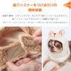 面ファスナーをつけるだけの簡単装着