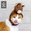 MIX8.6kg(首25/胴54/丈34cm)のゆづるくんはブラウンのMを着用