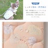 雪の日や寒い季節にもピッタリな愛犬用ハーネス