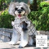 トイプー1.2kg(首15/胴26/丈19cm)のマユリちゃんはハートピンクのXSを着用