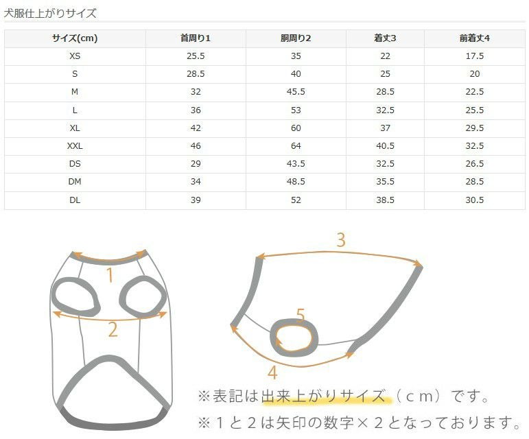 サイズ表