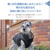 雨の日も雪の日も自由に動けるレインハーネス