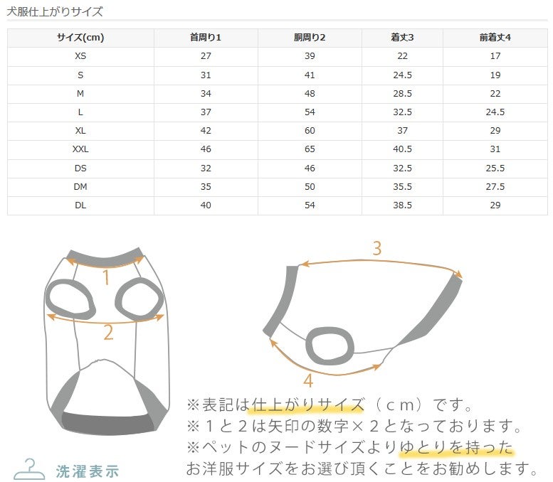 サイズ表