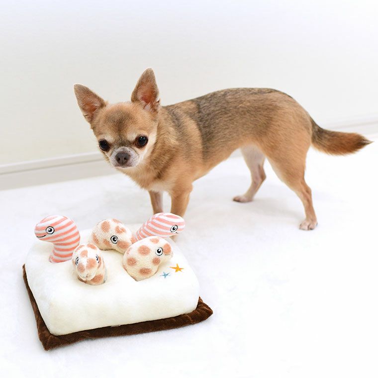 iDog 知育おもちゃ チンアナゴ -犬猫ペット用品通販 IDOG&ICAT|ペット