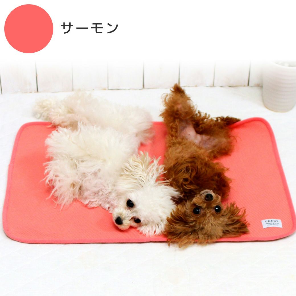 Wilmog（ウィルモグ）後足不自由犬用 サイズ：Mフレームカラー：オレンジ/ウェアカラー：ブラック IDOG&ICAT UNAGE シニア防水マット-犬猫ペット用品通販 IDOG&ICAT