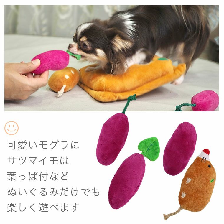 グラスアイとモヘアボディの犬 ぬいぐるみ 36cm 1930年代 /K454 iDog 知育おもちゃ 芋掘り 犬猫ペット用品通販 IDOG&ICAT|ペット 犬