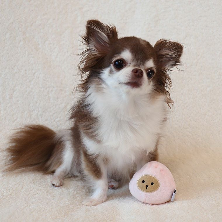 iDog にくまん 鳴き笛入り-犬猫ペット用品通販 IDOG&ICAT|ペット 犬