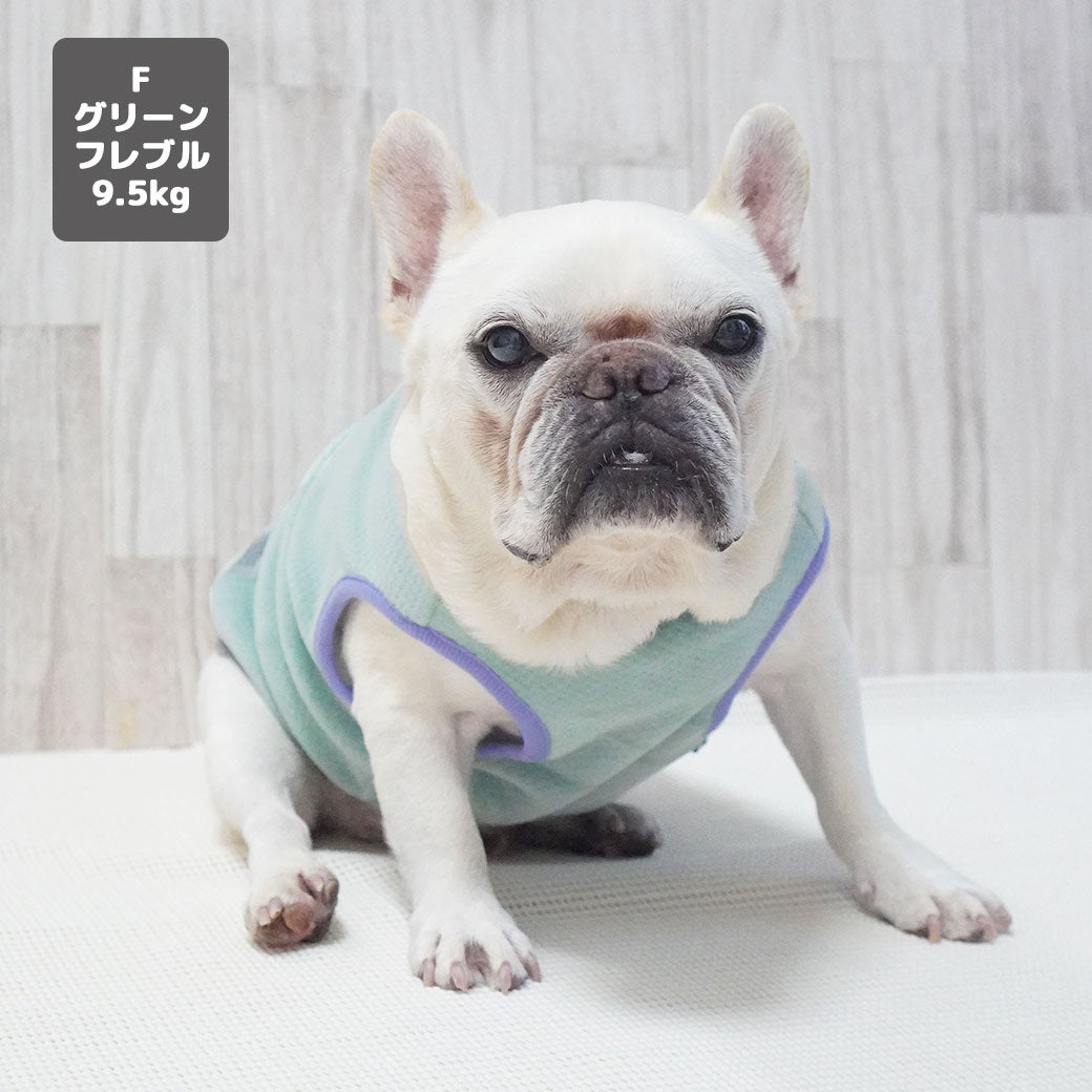 フレブル9.5kg(首41/胴55/丈34cm)のブランくんはグリーンのFを着用