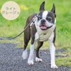 ボストンテリア5.8kg(首30/胴42/丈29cm)のニアちゃんはライトグレージュのLを着用