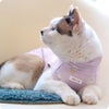 蓄熱・保温素材×ハイネックで首までぬくぬく