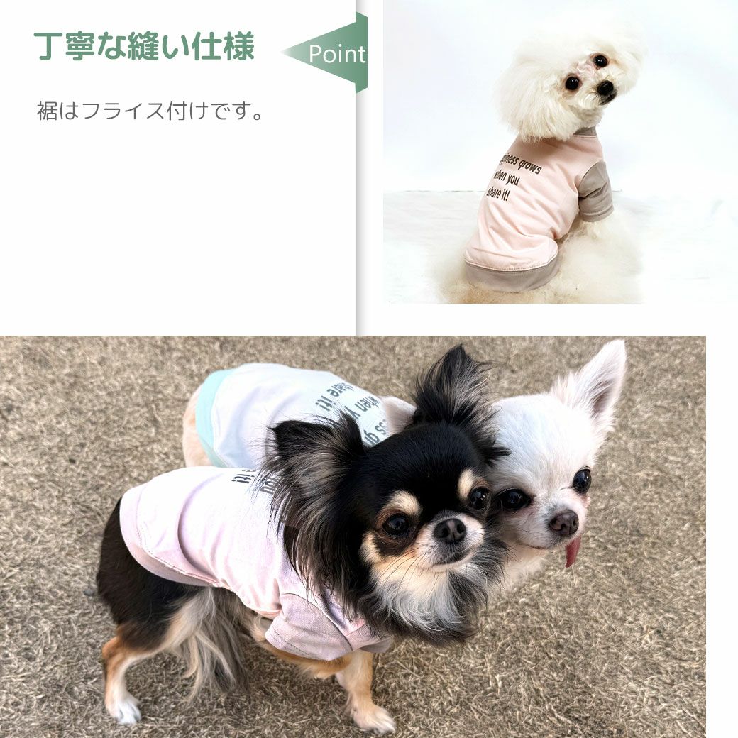 iDog 切替ロゴプリントTシャツ アイドッグ-犬猫用品通販 IDOG&ICAT