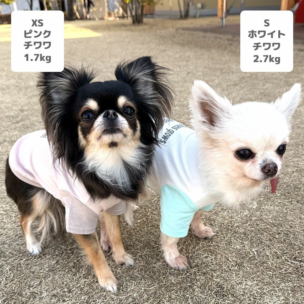 iDog 切替ロゴプリントTシャツ アイドッグ-犬猫用品通販 IDOG&ICAT