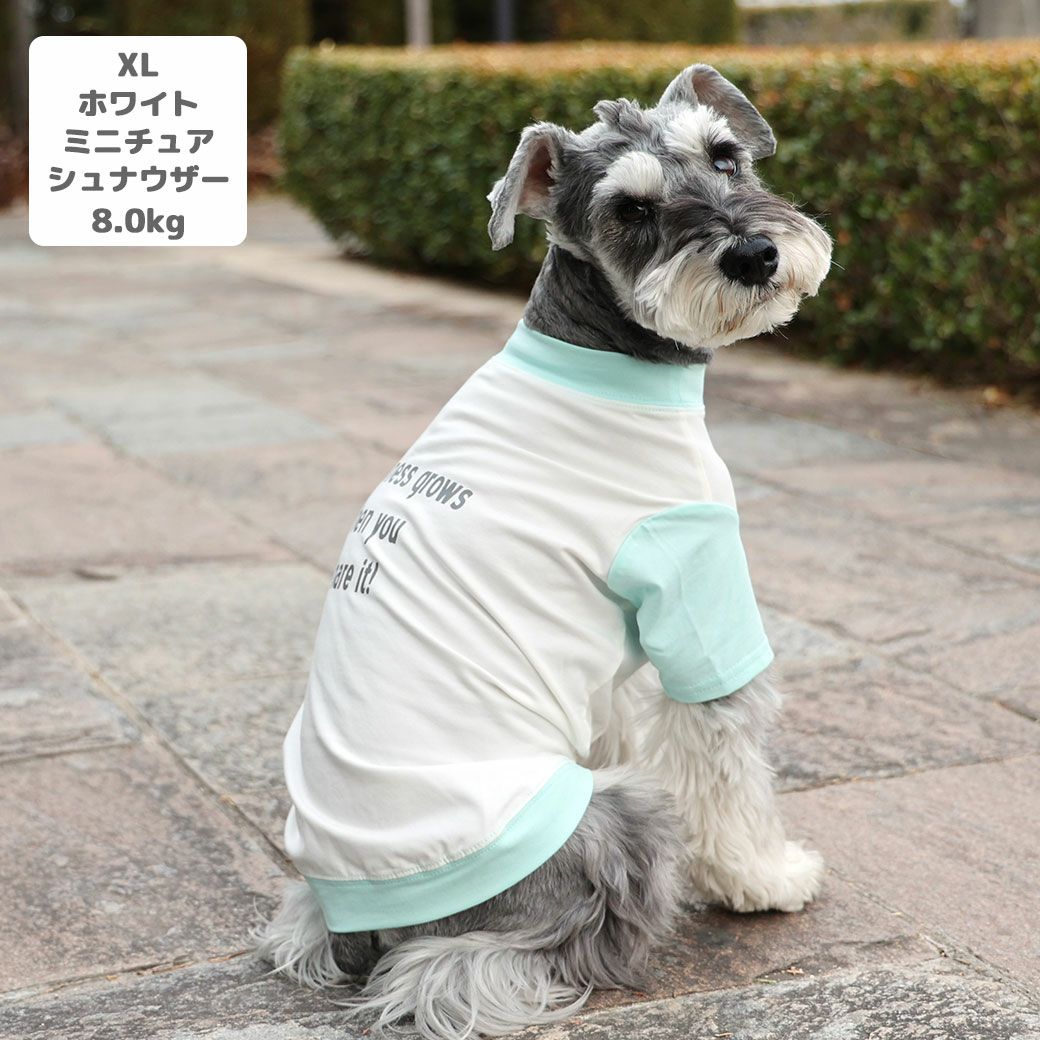 シャツシュナウザー ゴルフ 犬 服 かわいい gelato pique ジェラート