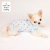 チワワ2.69kg(首21/胴34/丈25cm)の涼央くんはブルー26のSを着用