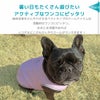 暑い日もたくさん遊びたいアクティブなワンコにピッタリ