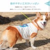 動きやすい工夫がいっぱいのドッグウェア