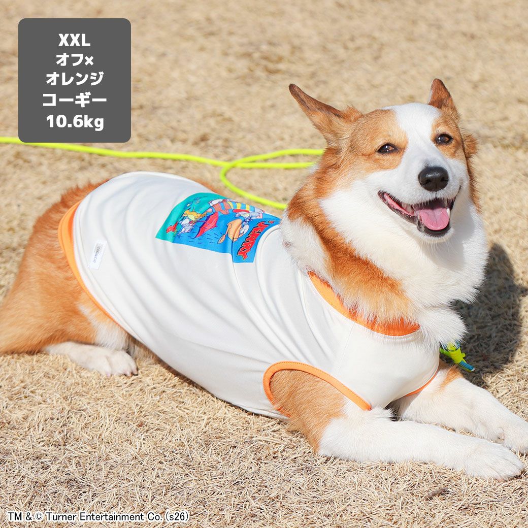 iDog COOL Chill+MOSCAPE TOM and JERRY ポップアートタンク 接触