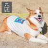 コーギー10.6kg(首36/胴51/丈37cm)のラテちゃんはオフ×オレンジのXXLを着用