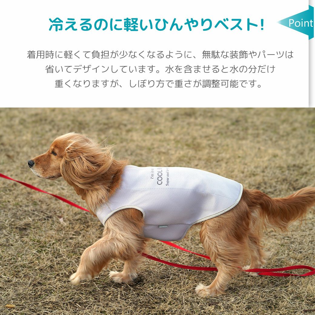 iDog AQUA HOLD 中大型犬用 ひんやり空冷&保水 Wクールタンク アイ