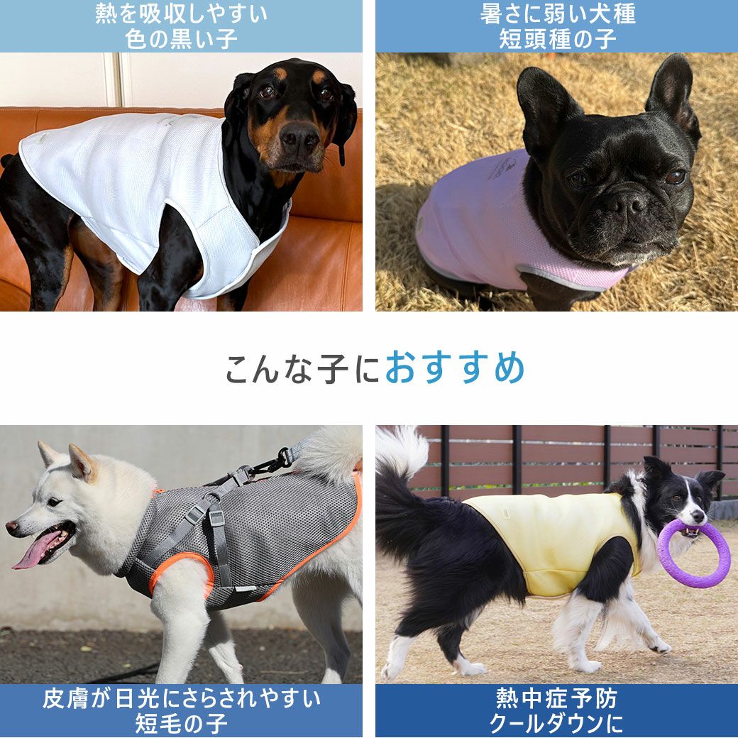 iDog AQUA HOLD 中大型犬用 ひんやり空冷&保水 Wクールタンク アイ