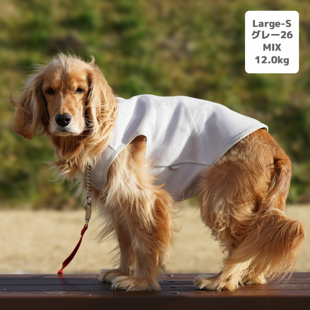 iDog AQUA HOLD 中大型犬用 ひんやり空冷&保水 Wクールタンク アイ