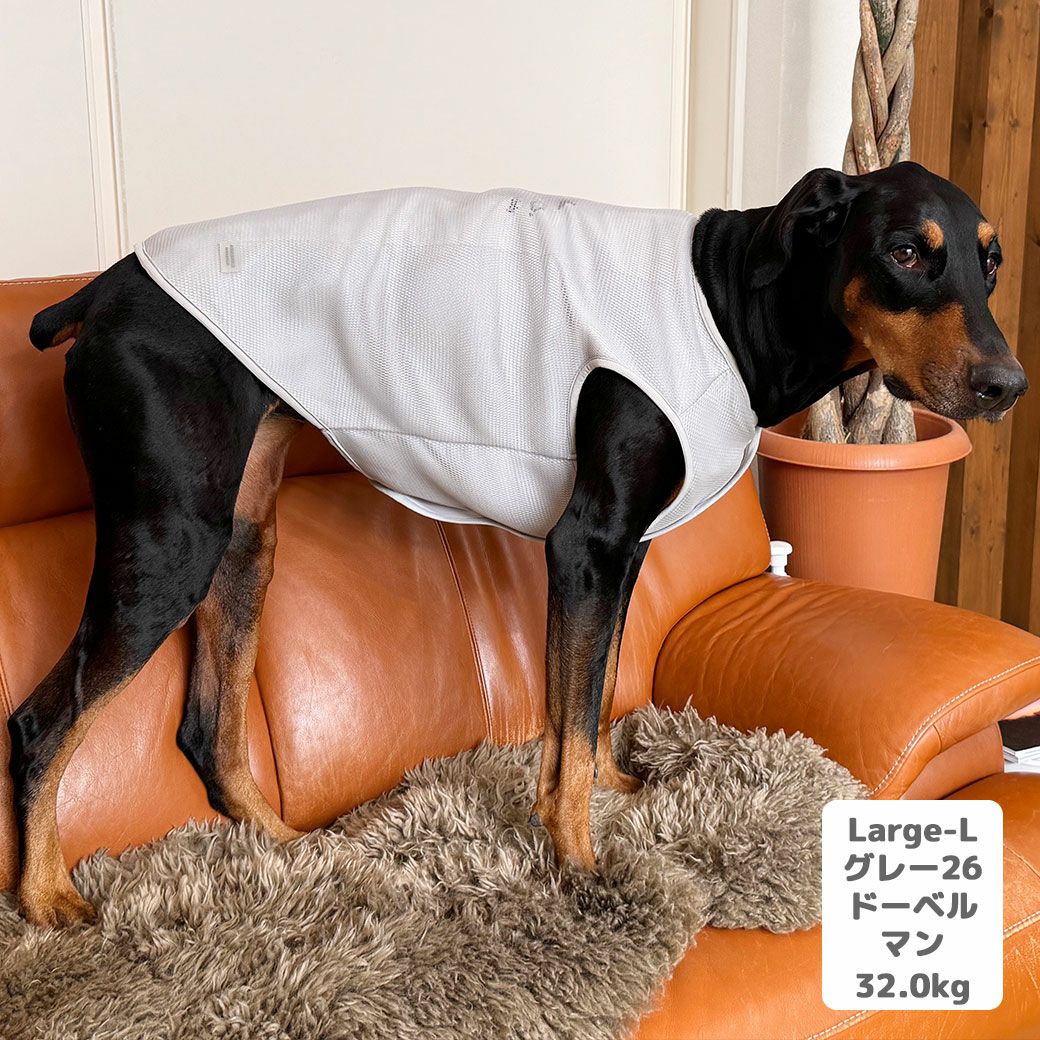iDog AQUA HOLD 中大型犬用 ひんやり空冷&保水 Wクールタンク アイ