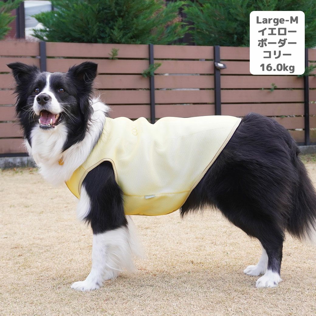 iDog AQUA HOLD 中大型犬用 ひんやり空冷&保水 Wクールタンク アイ
