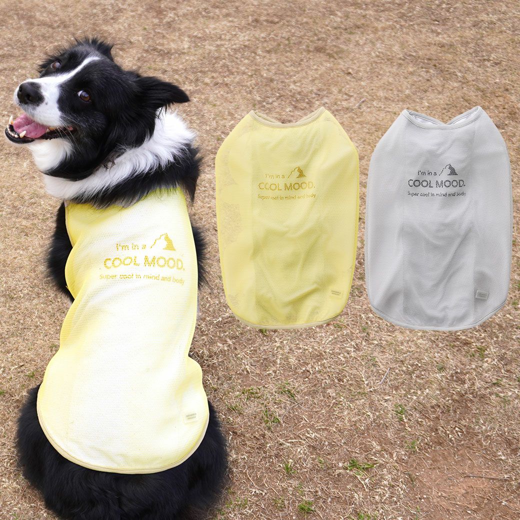 IDOG 犬用服　サイズDL 新品未使用 iDog AQUA HOLD 中大型犬用 ひんやり空冷&保水 Wクールタンク アイ