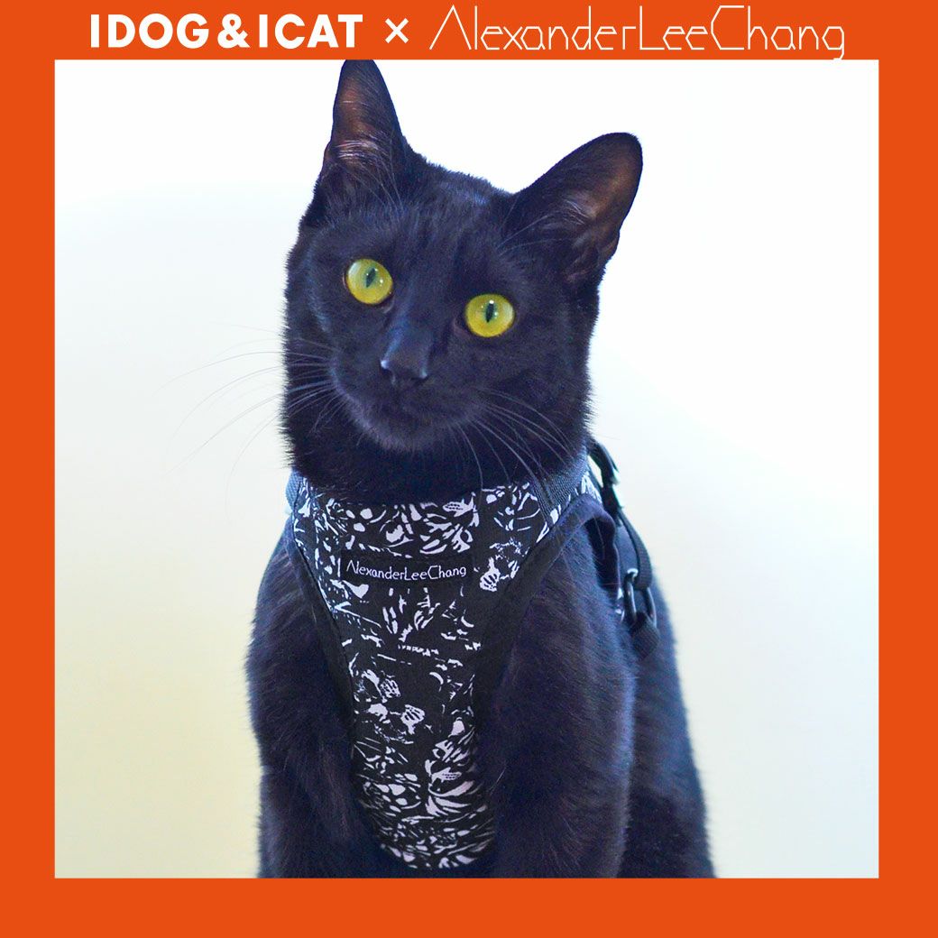 iCat 猫用コンフォートハーネス IDOG×AlexanderLeeChang-ペット用品