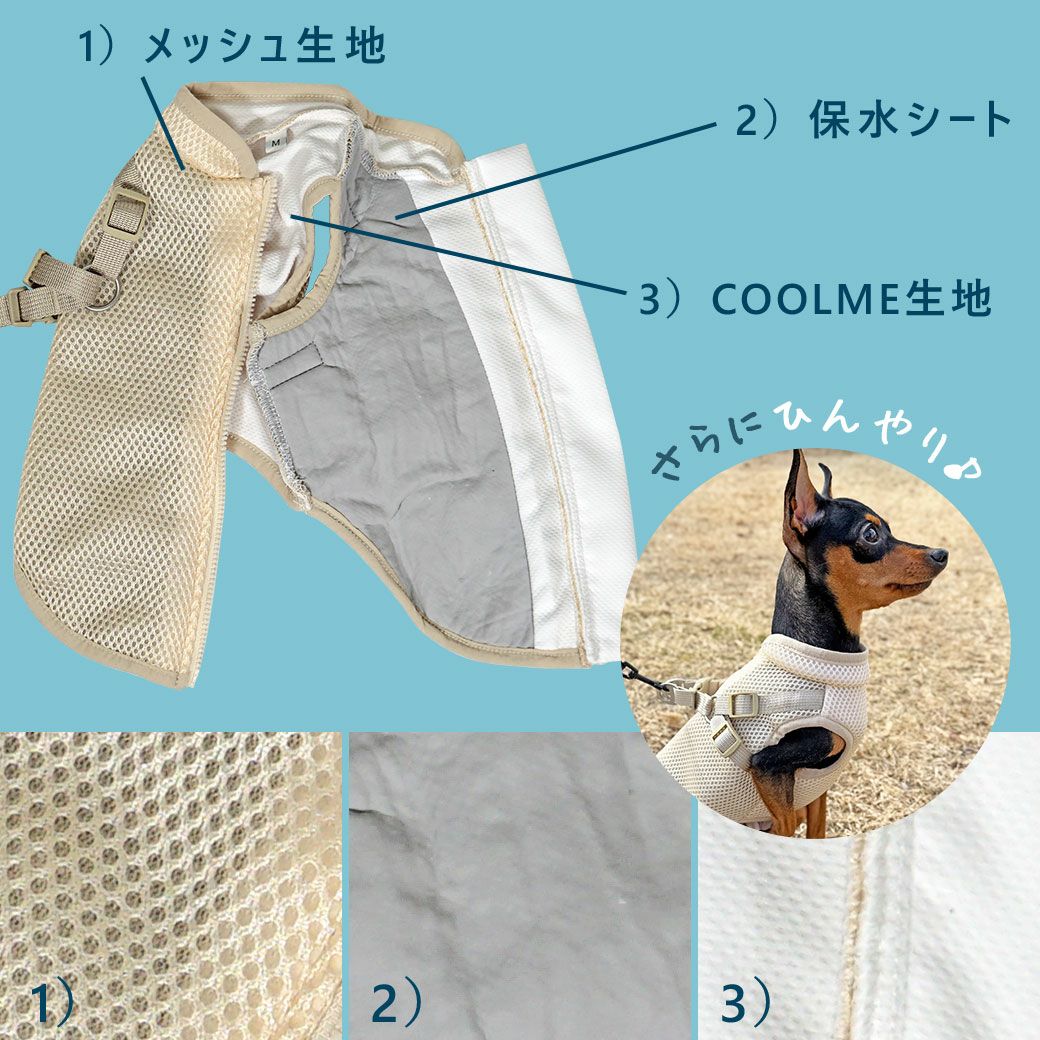 ファブリック