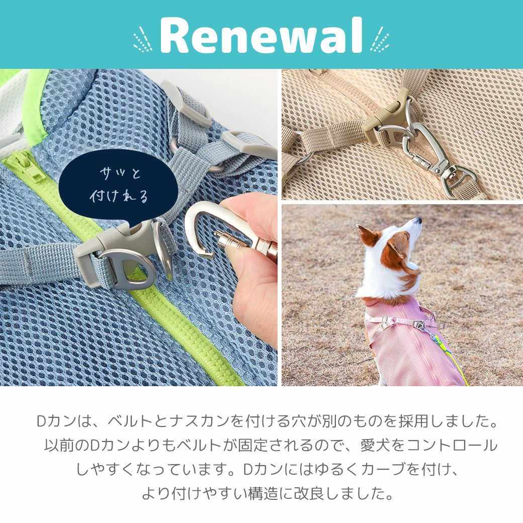 リニューアル