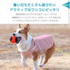 暑い日もたくさん遊びたいアクティブなワンコにピッタリ