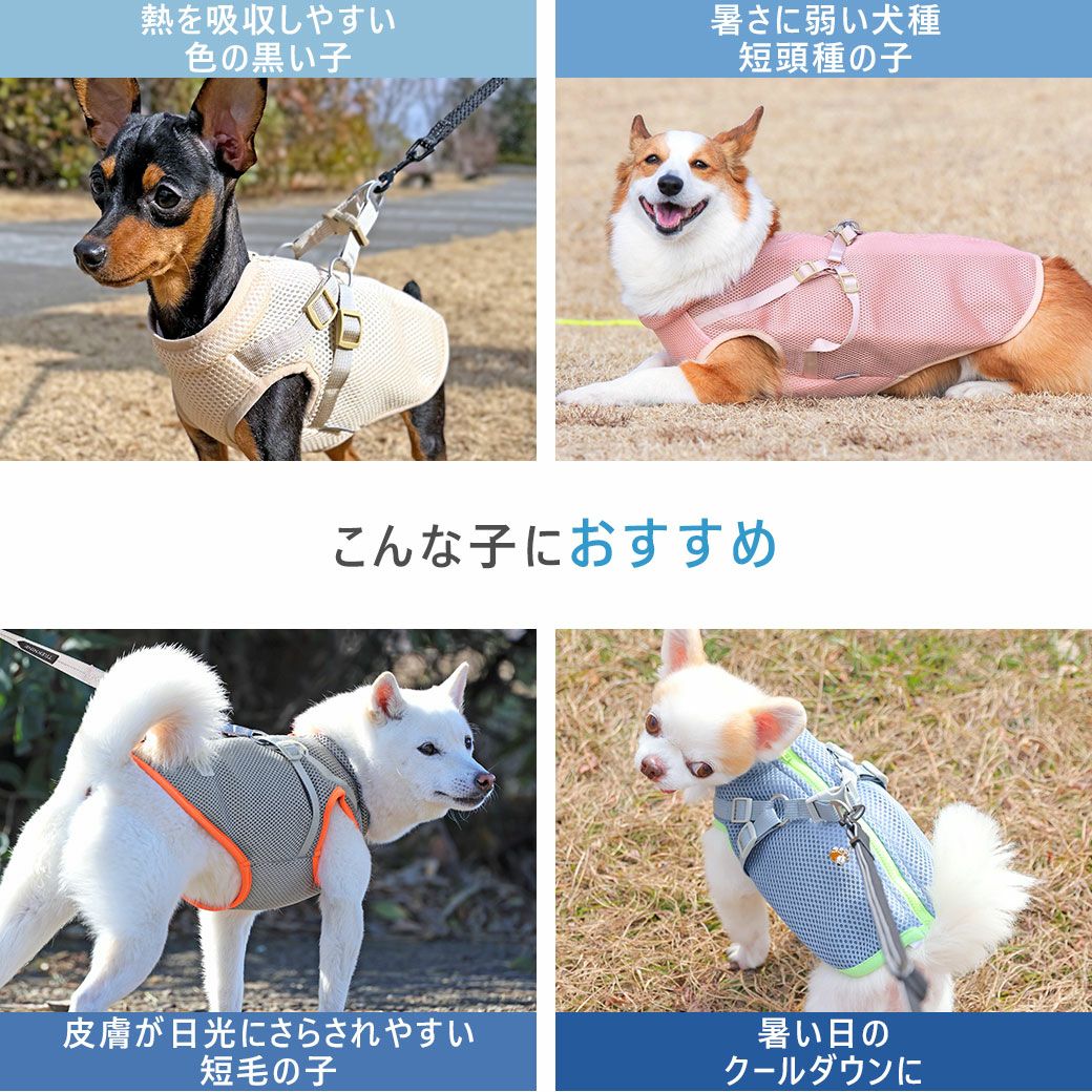 こんな子オススメ！